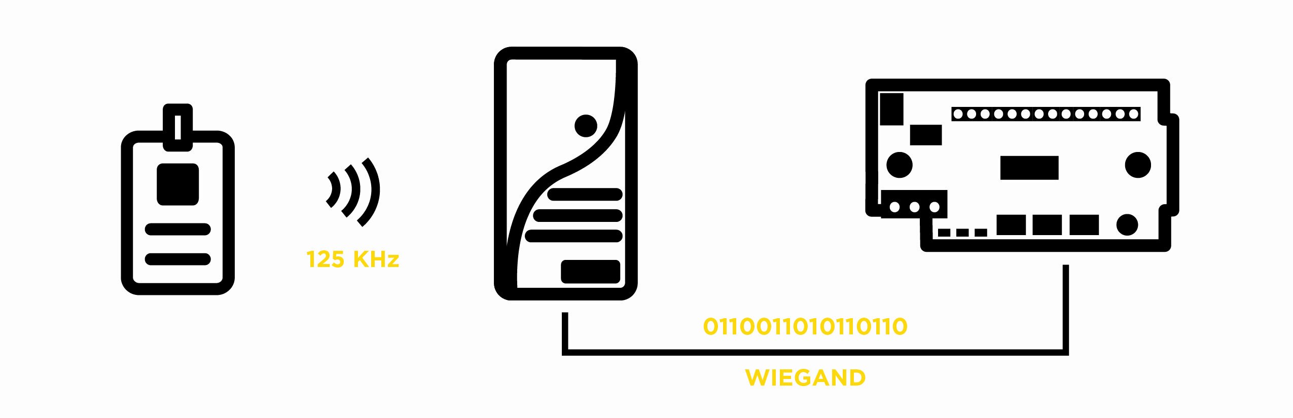 DMP White Paper Understanding MultiCard Formats
